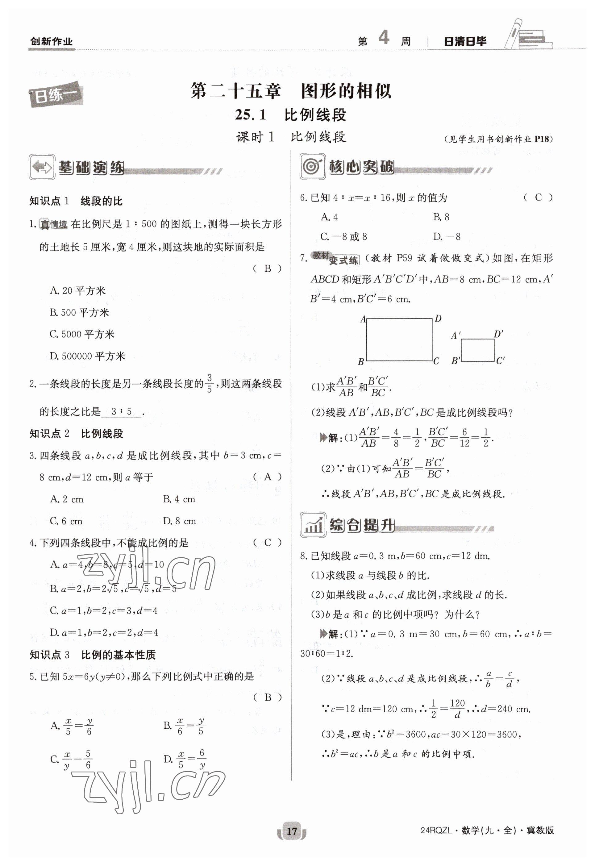 2023年日清周练九年级数学冀教版 参考答案第17页