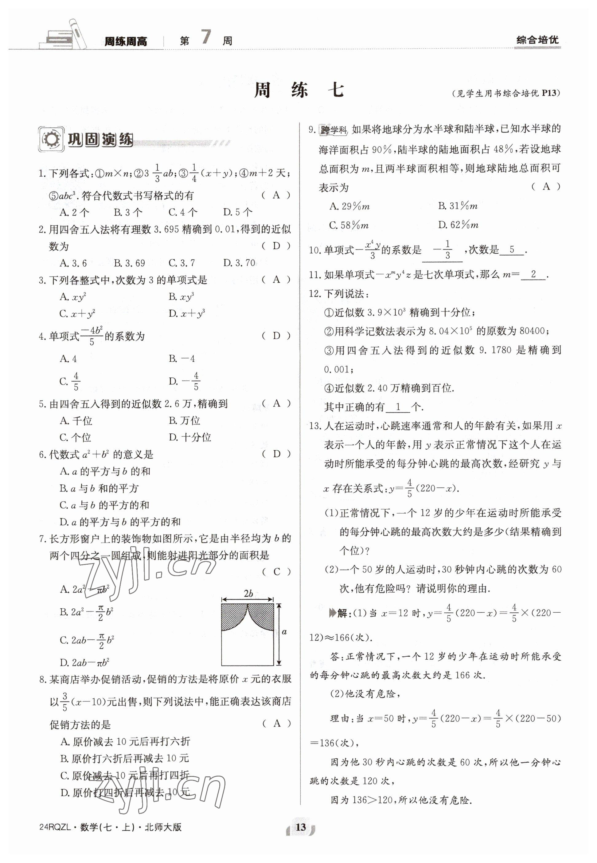 2023年日清周練七年級數(shù)學上冊北師大版 參考答案第13頁