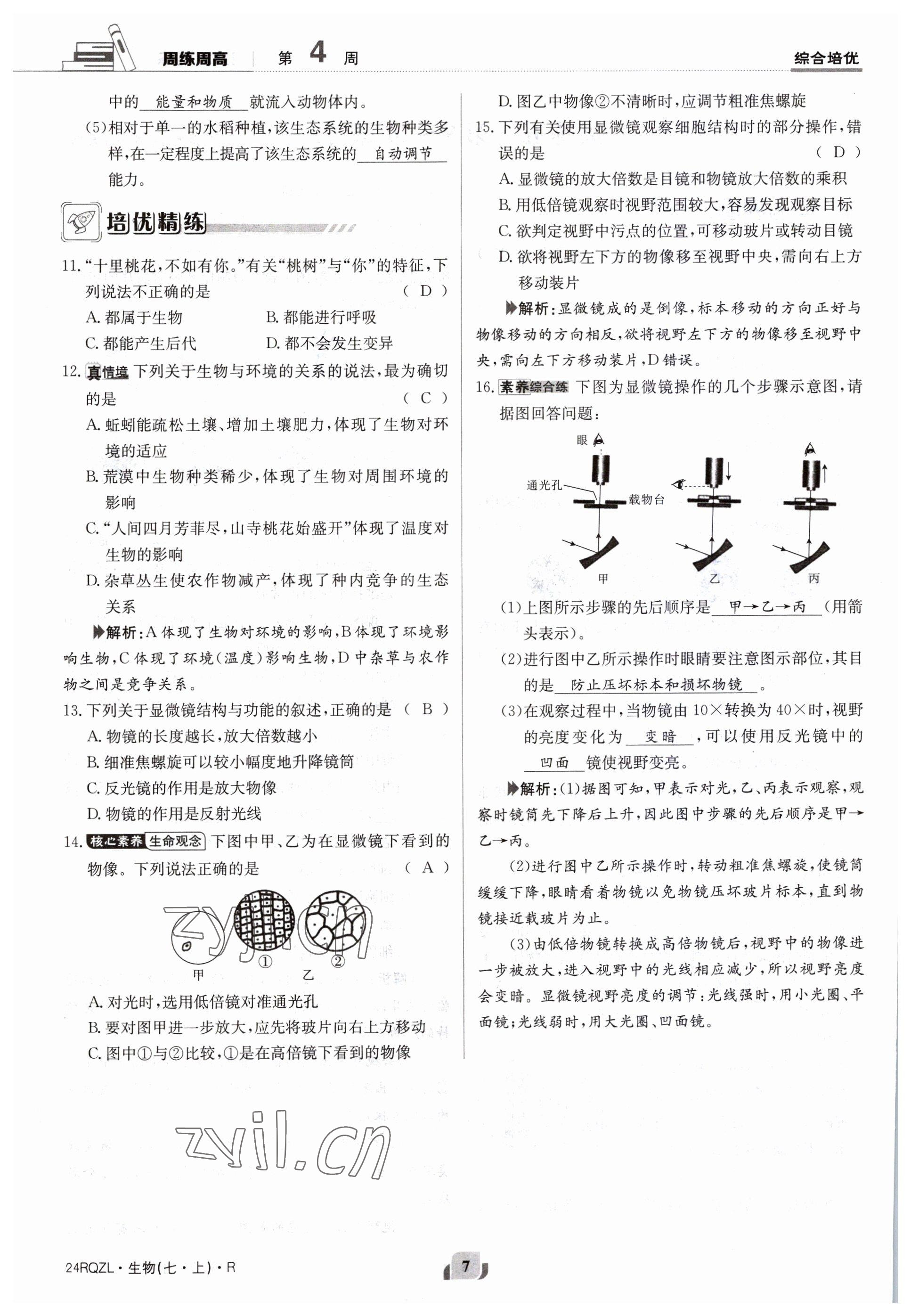 2023年日清周練七年級(jí)生物上冊人教版 參考答案第7頁