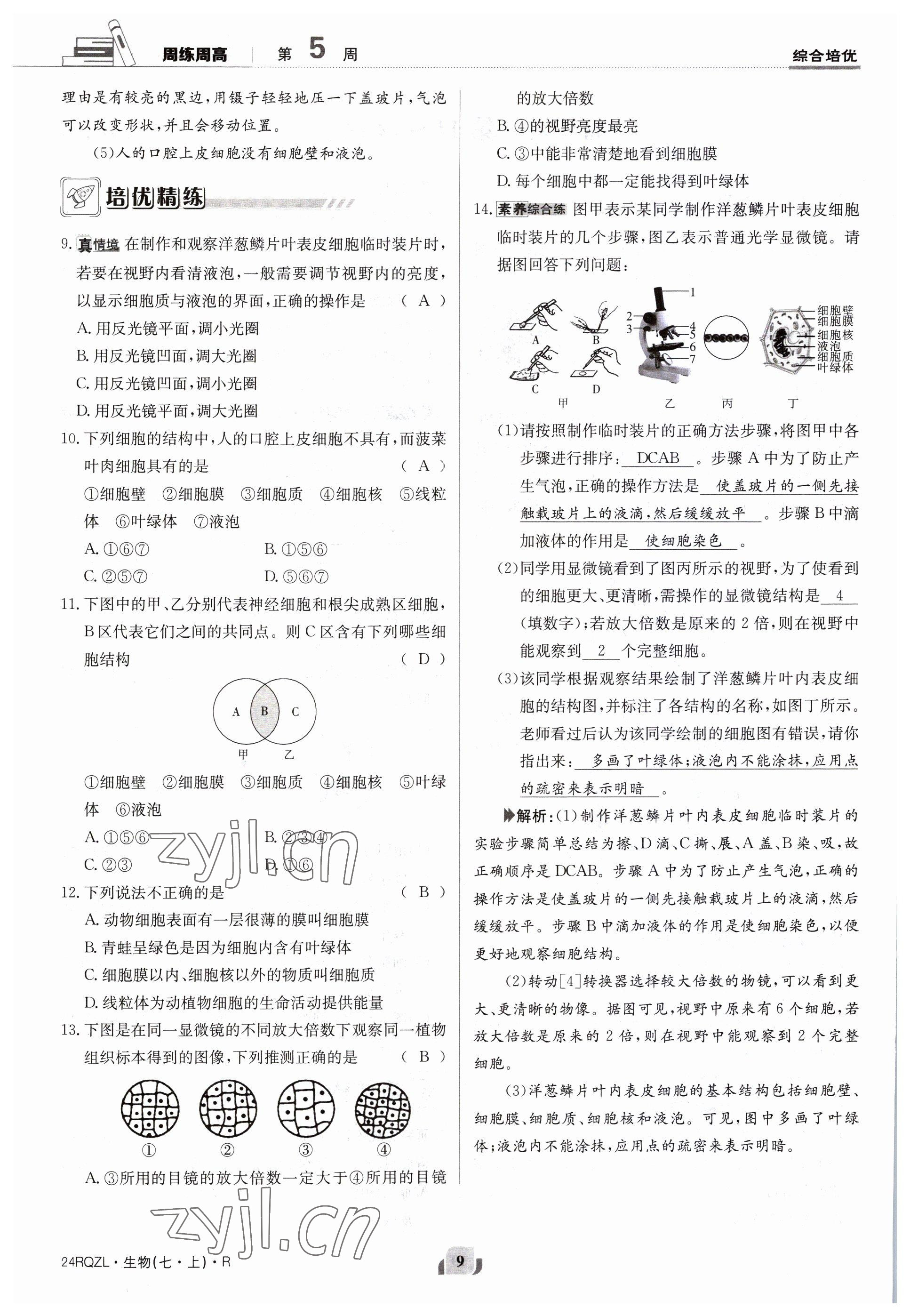 2023年日清周練七年級(jí)生物上冊(cè)人教版 參考答案第9頁(yè)