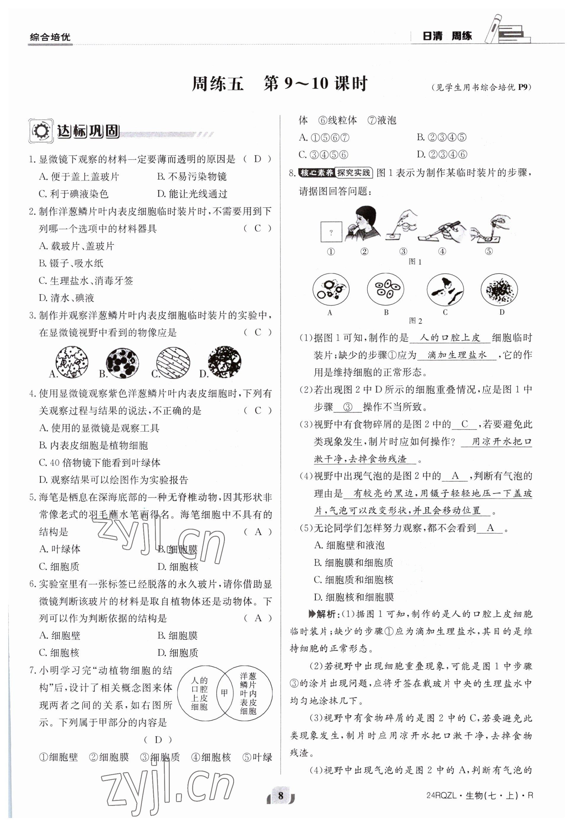 2023年日清周練七年級生物上冊人教版 參考答案第8頁