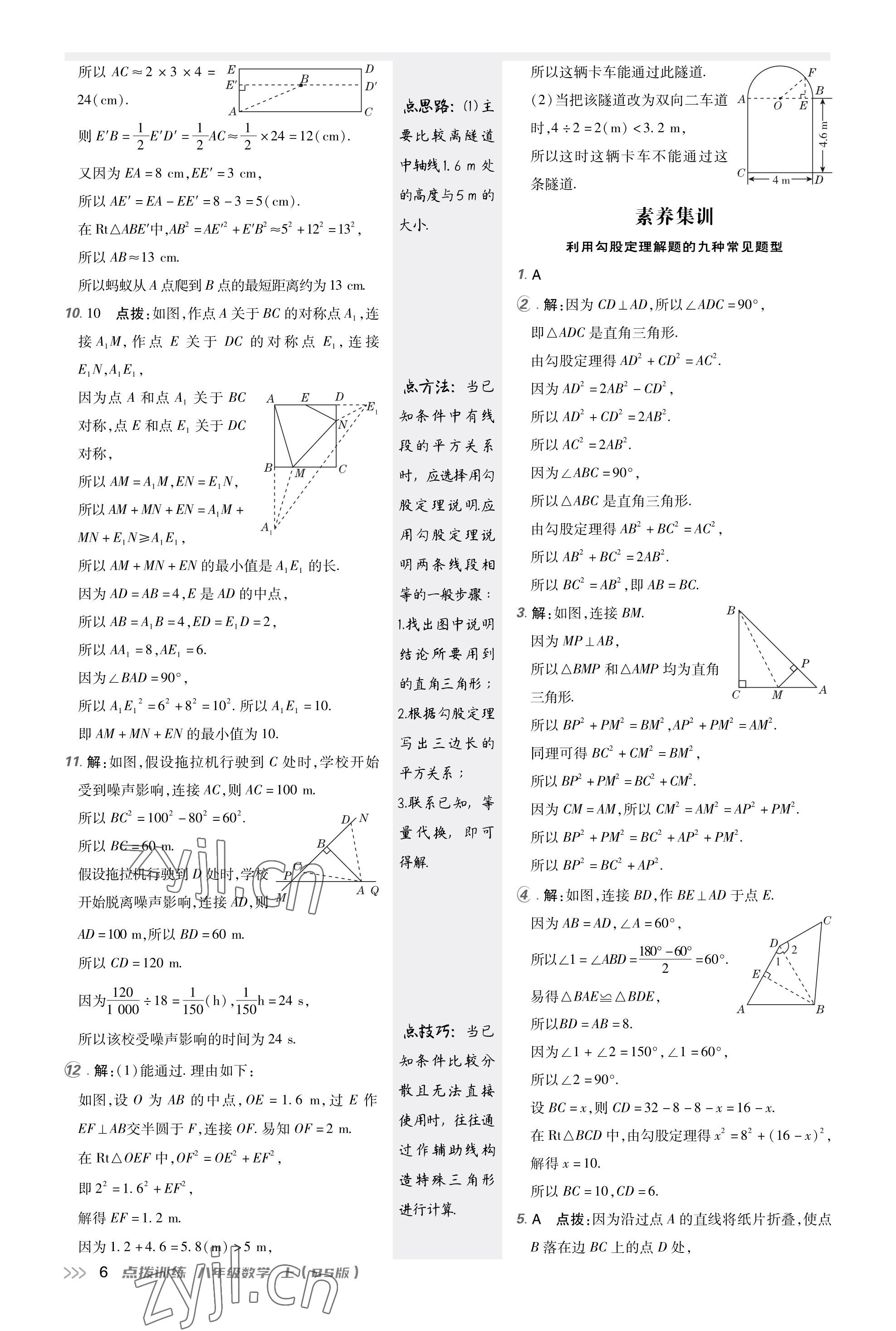 2023年点拨训练八年级数学上册北师大版福建专版 参考答案第5页