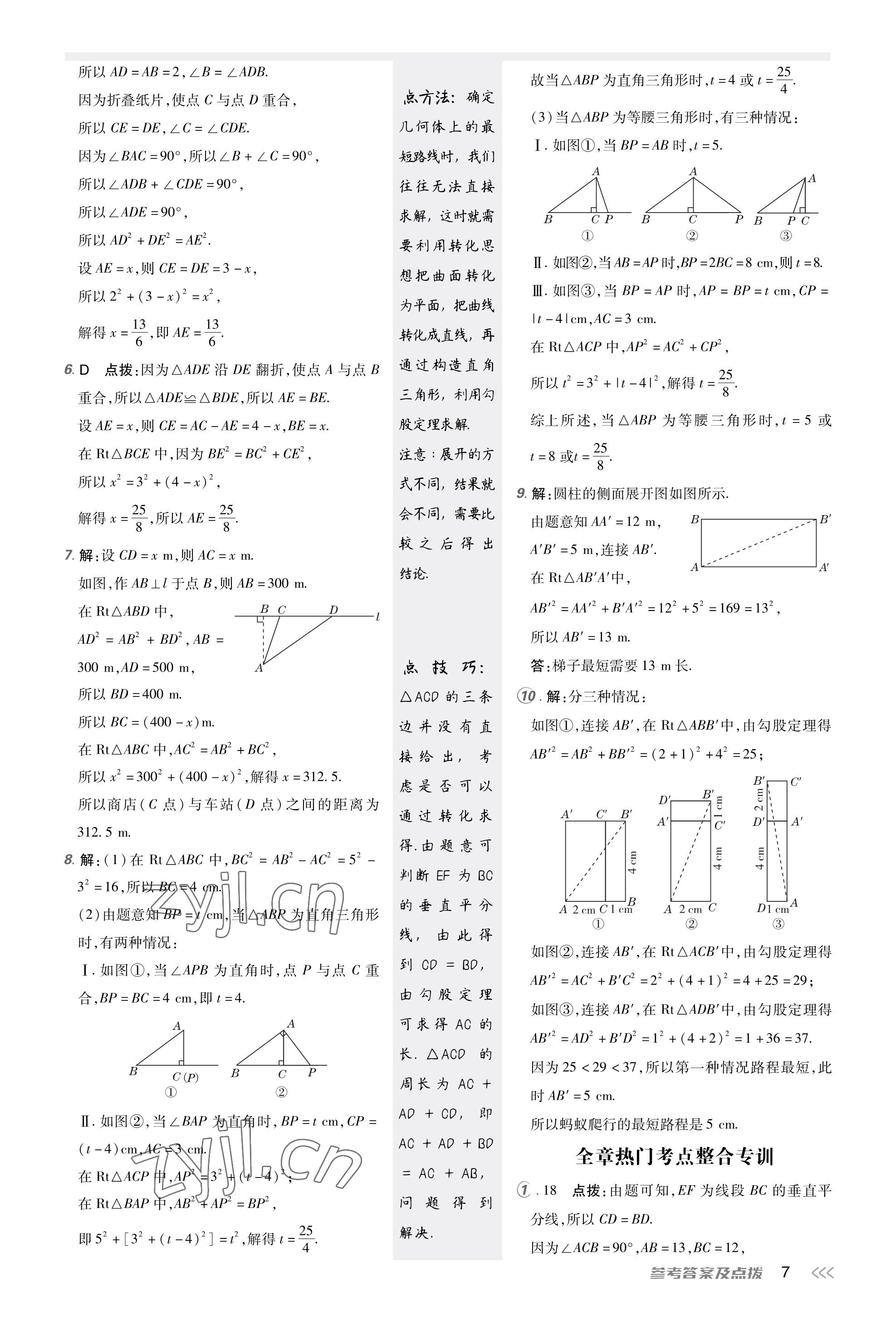 2023年点拨训练八年级数学上册北师大版福建专版 参考答案第6页