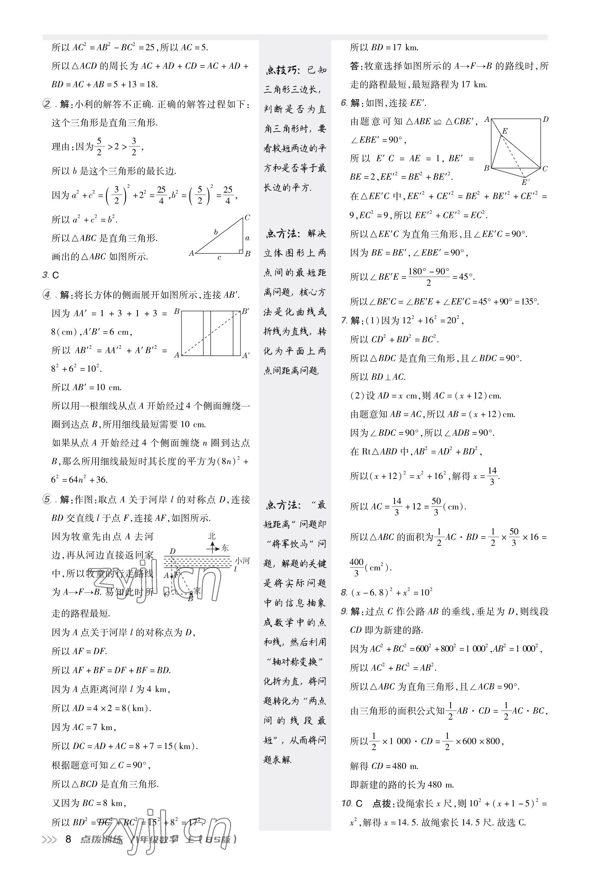 2023年點撥訓(xùn)練八年級數(shù)學(xué)上冊北師大版福建專版 參考答案第7頁