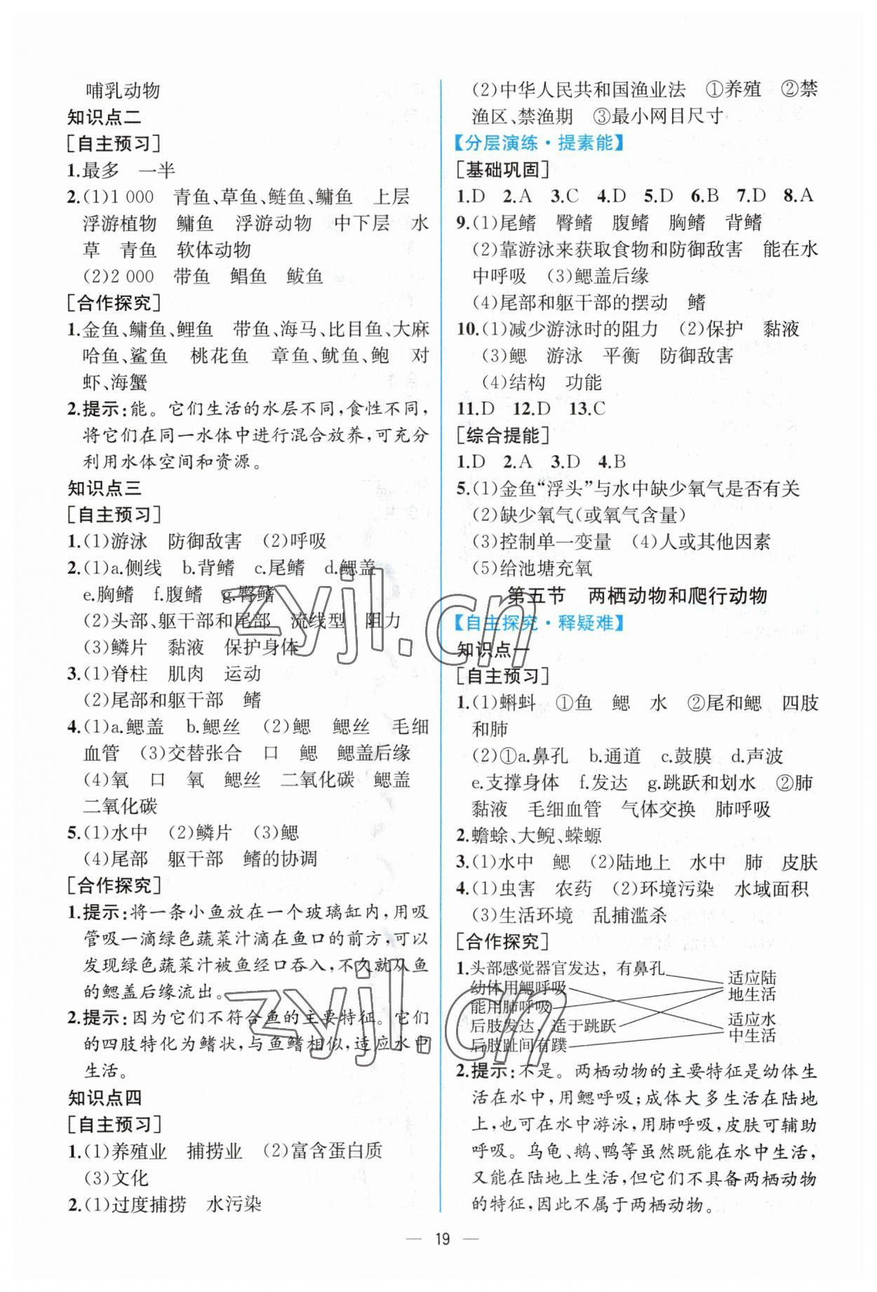 2023年同步導(dǎo)學(xué)案課時(shí)練八年級生物上冊人教版 第3頁