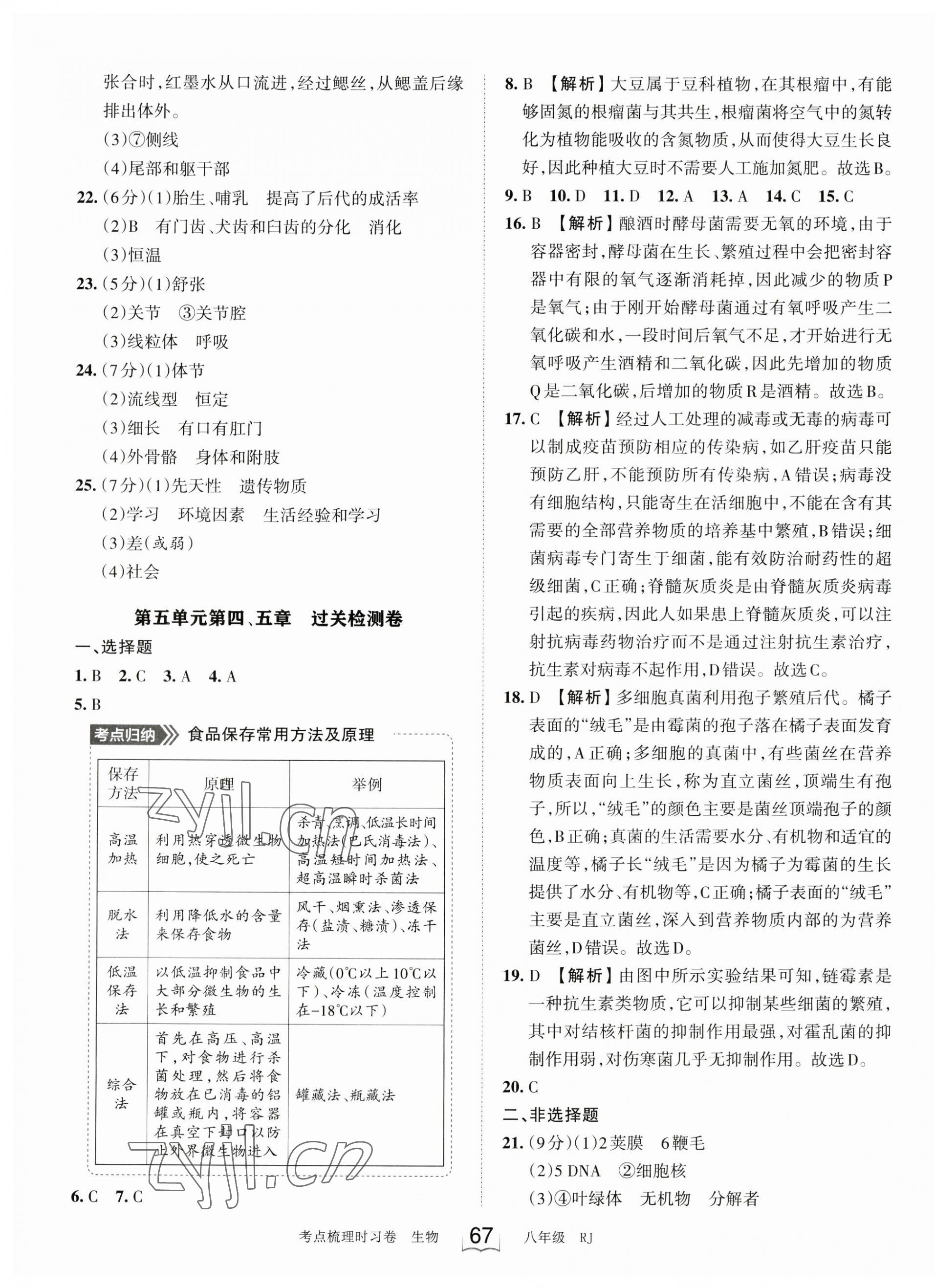 2023年王朝霞考点梳理时习卷八年级生物上册人教版 第3页