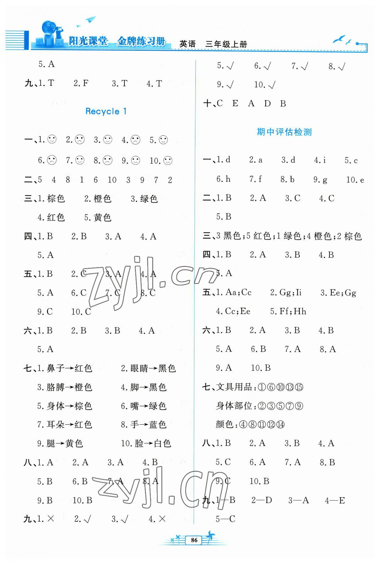 2023年阳光课堂金牌练习册三年级英语上册人教版 第3页