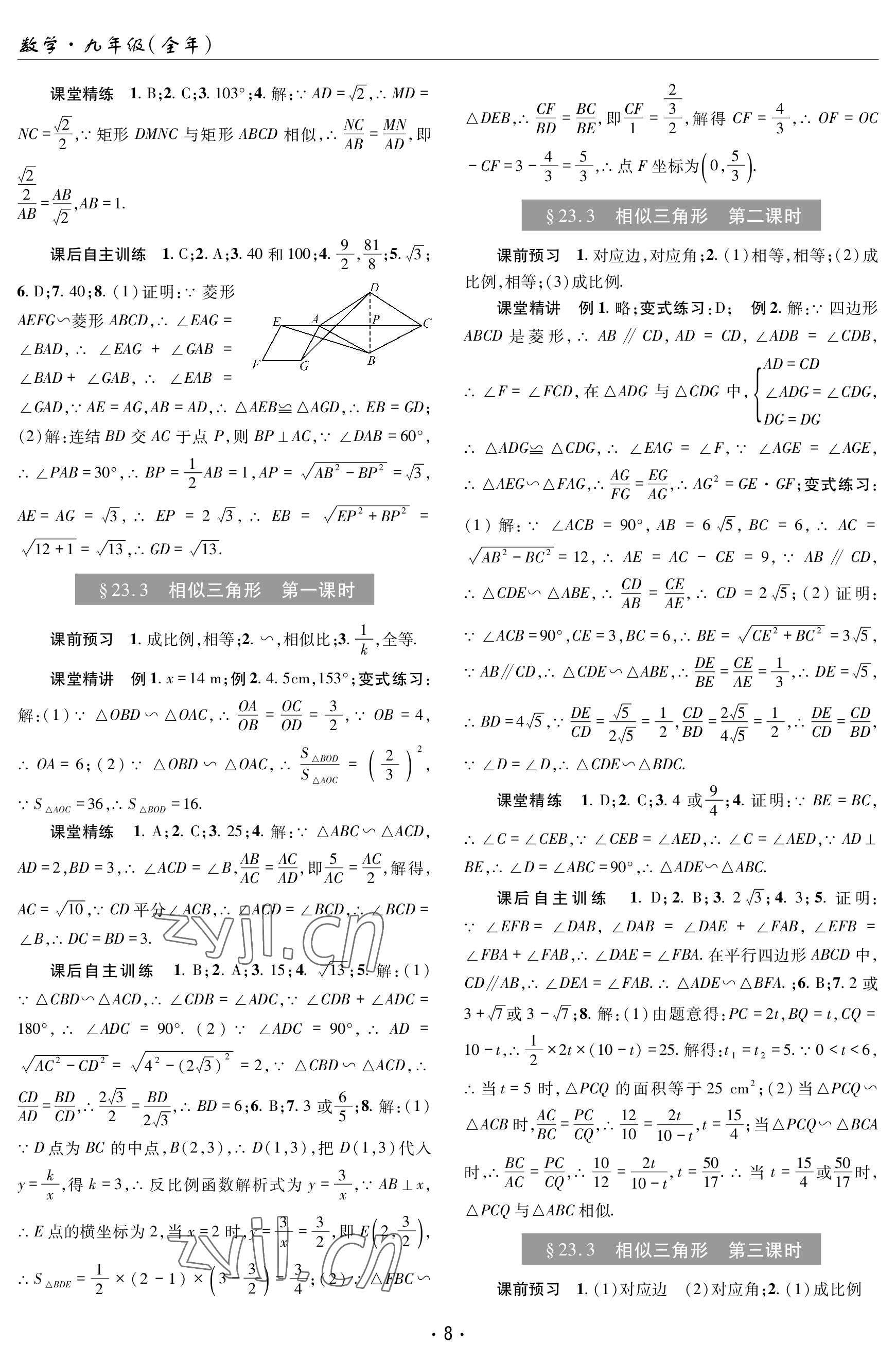 2023年理科爱好者九年级数学全一册华师大版 参考答案第7页