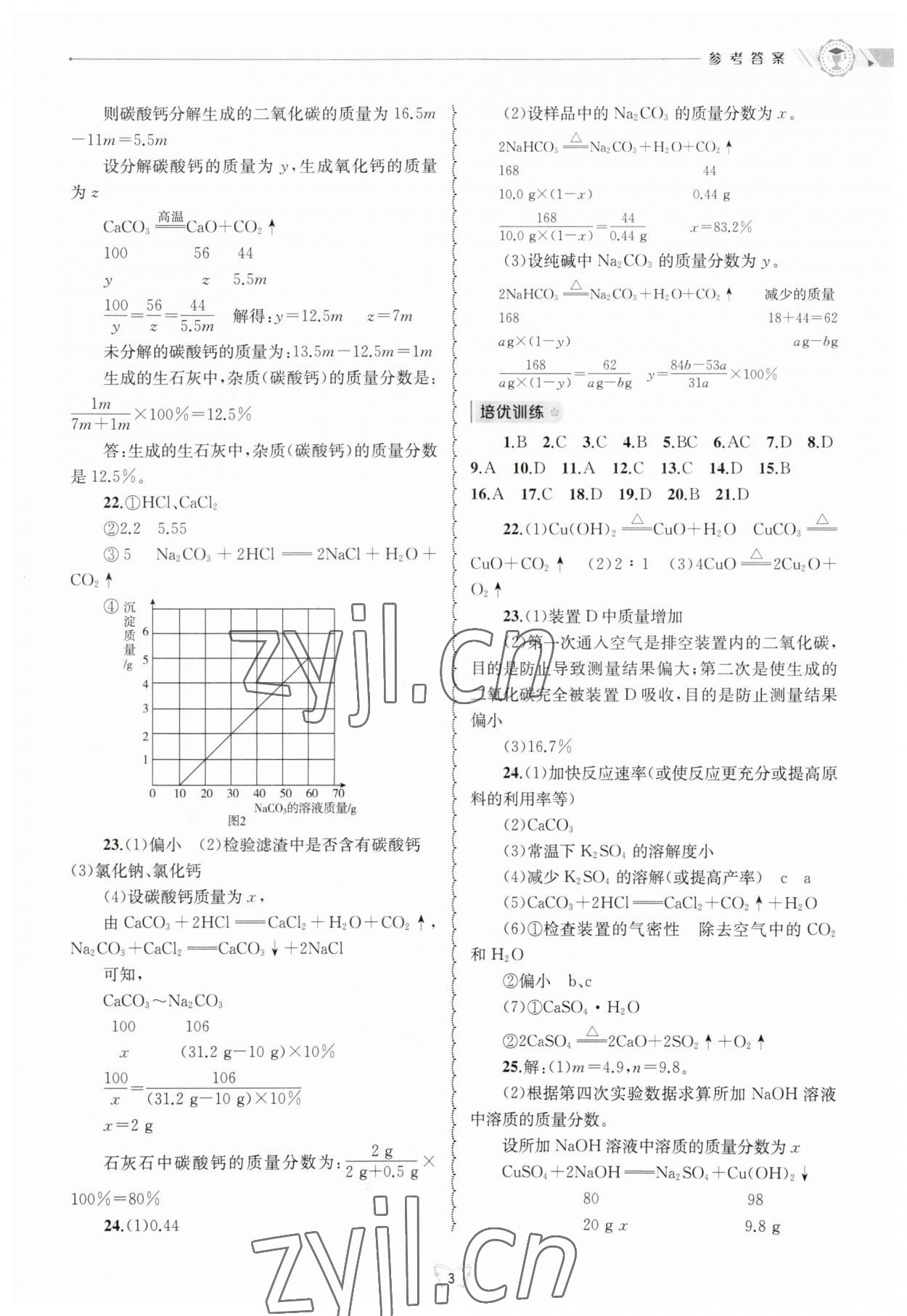 2023年重點中學(xué)與你有約九年級數(shù)學(xué)全一冊華師大版 第3頁