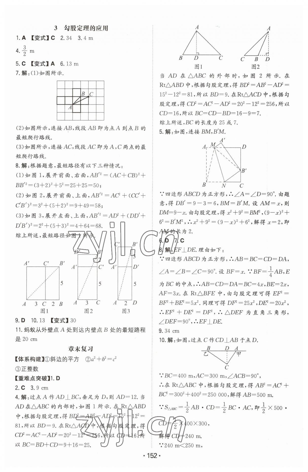 2023年一本初中同步一本訓練方案八年級初中數(shù)學上冊北師大版 第2頁