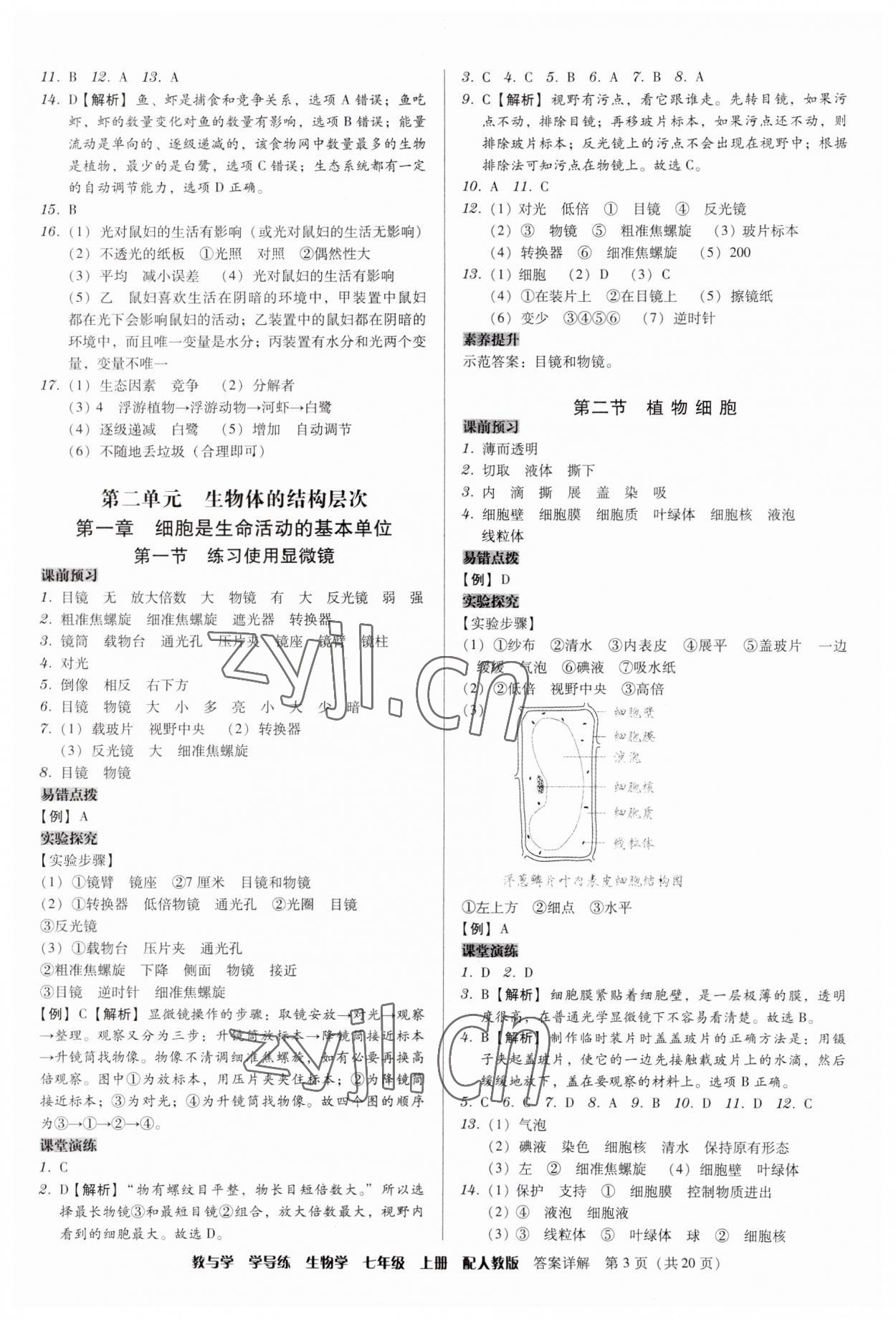 2023年教與學學導練七年級生物上冊人教版 第3頁