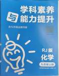 2023年学科素养与能力提升九年级化学上册人教版