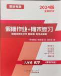 2024年假期作業(yè)+期末復(fù)習(xí)九年級化學(xué)深圳專版