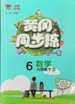 2024年黃岡同步練一日一練六年級數(shù)學下冊北師大版