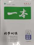 2024年一本同步训练七年级初中数学下册人教版