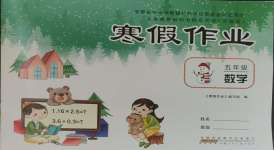 2024年寒假作业五年级数学苏教版安徽少年儿童出版社
