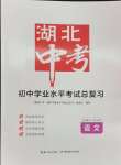 2024年湖北中考初中學(xué)業(yè)水平考試總復(fù)習(xí)語(yǔ)文