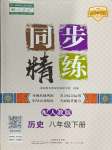 2024年同步精练广东人民出版社八年级历史下册人教版