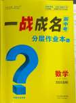 2024年一战成名新中考数学贵州专版