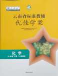 2024年云南省标准教辅优佳学案九年级化学下册人教版