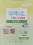 2024年新課程學(xué)習(xí)與測評同步學(xué)習(xí)九年級化學(xué)全一冊魯教版