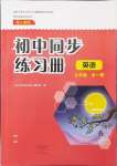 2024年同步練習(xí)冊大象出版社九年級英語全一冊人教版