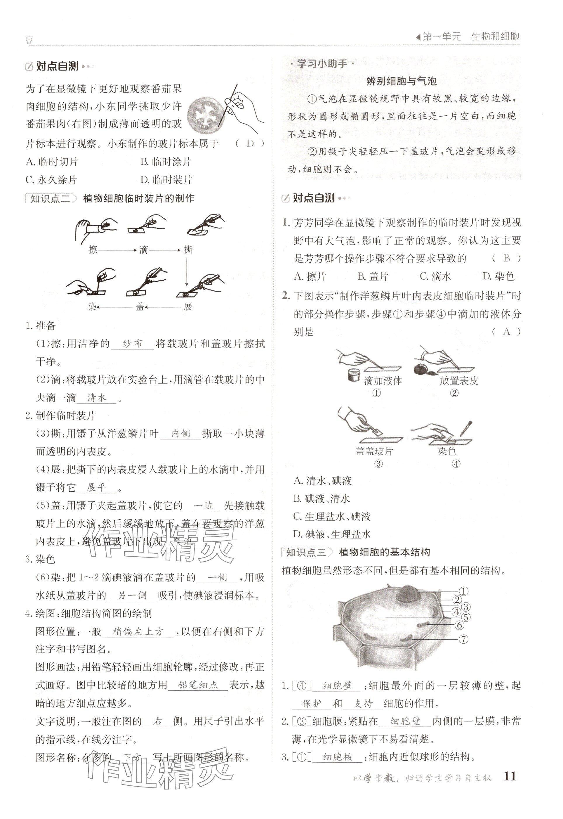 2024年金太阳导学案七年级生物上册人教版 参考答案第11页