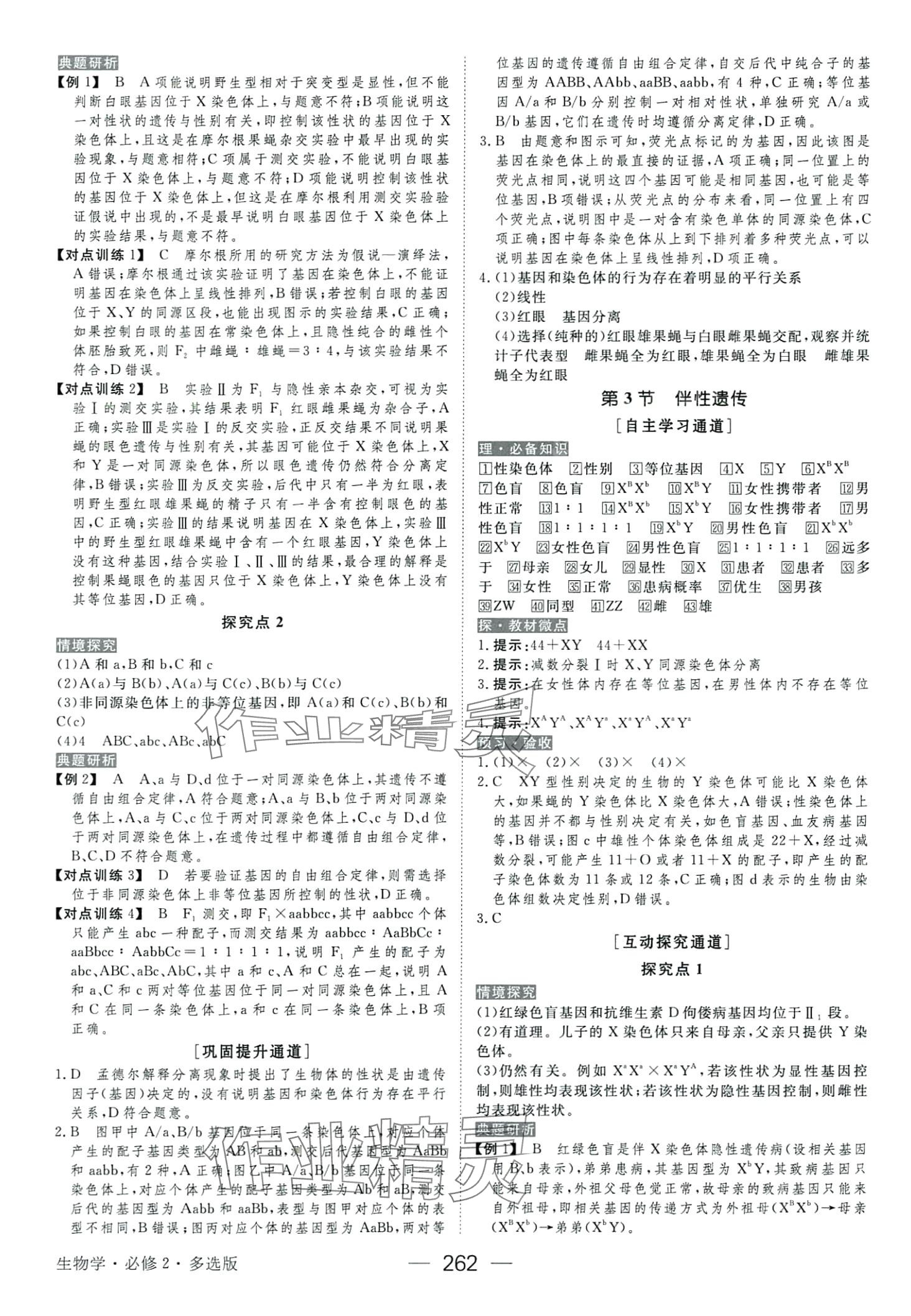 2024年绿色通道高中生物必修2人教版 第10页