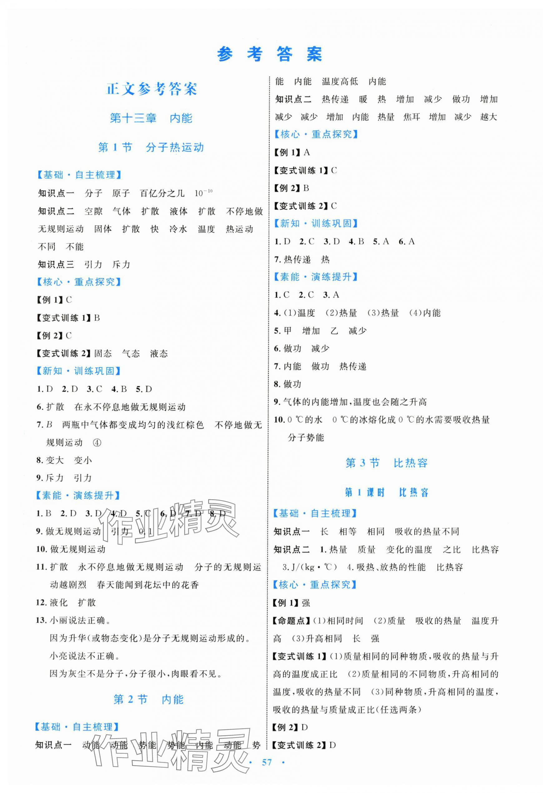 2024年同步學(xué)習(xí)目標(biāo)與檢測(cè)九年級(jí)物理全一冊(cè)人教版 第1頁