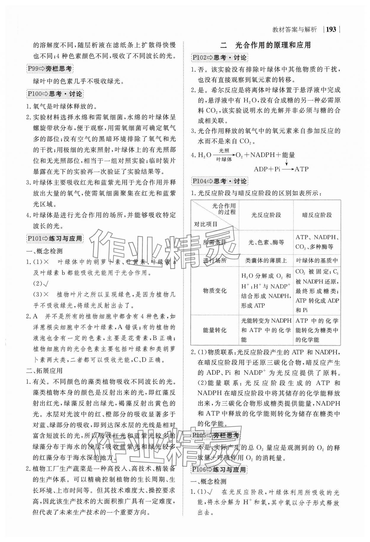 2023年绿色通道高中生物必修1分子与细胞人教版 参考答案第13页