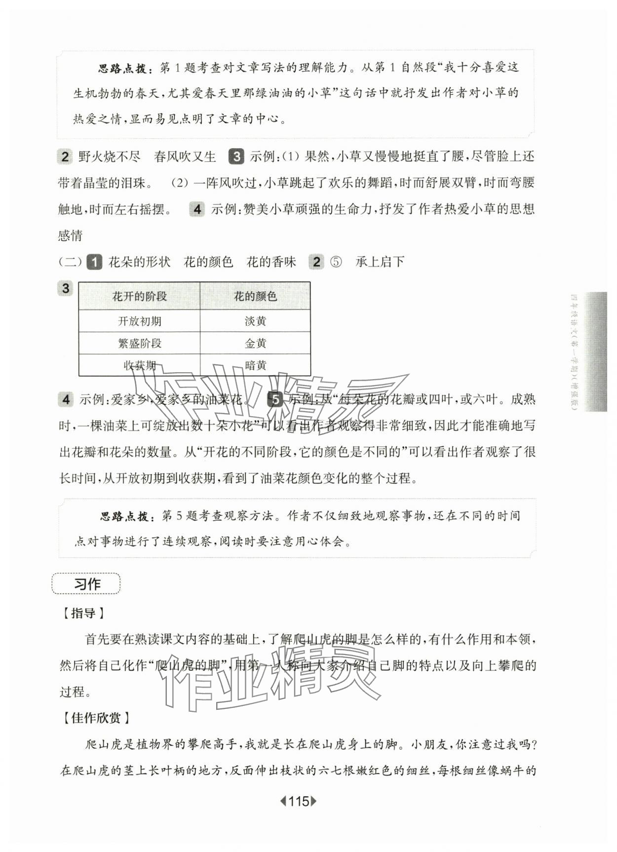 2024年華東師大版一課一練四年級語文上冊人教版54制增強版 第9頁