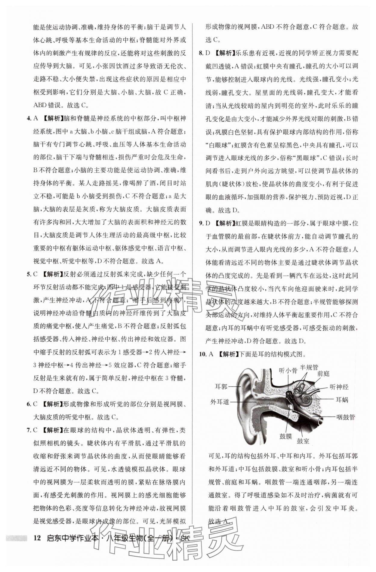 2024年启东中学作业本八年级生物全一册苏科版 参考答案第12页