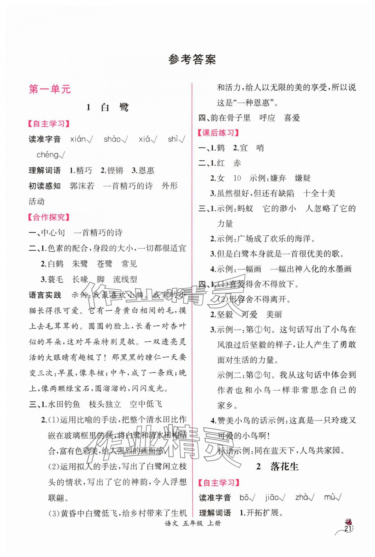 2024年同步導(dǎo)學(xué)案課時練五年級語文上冊人教版 第1頁