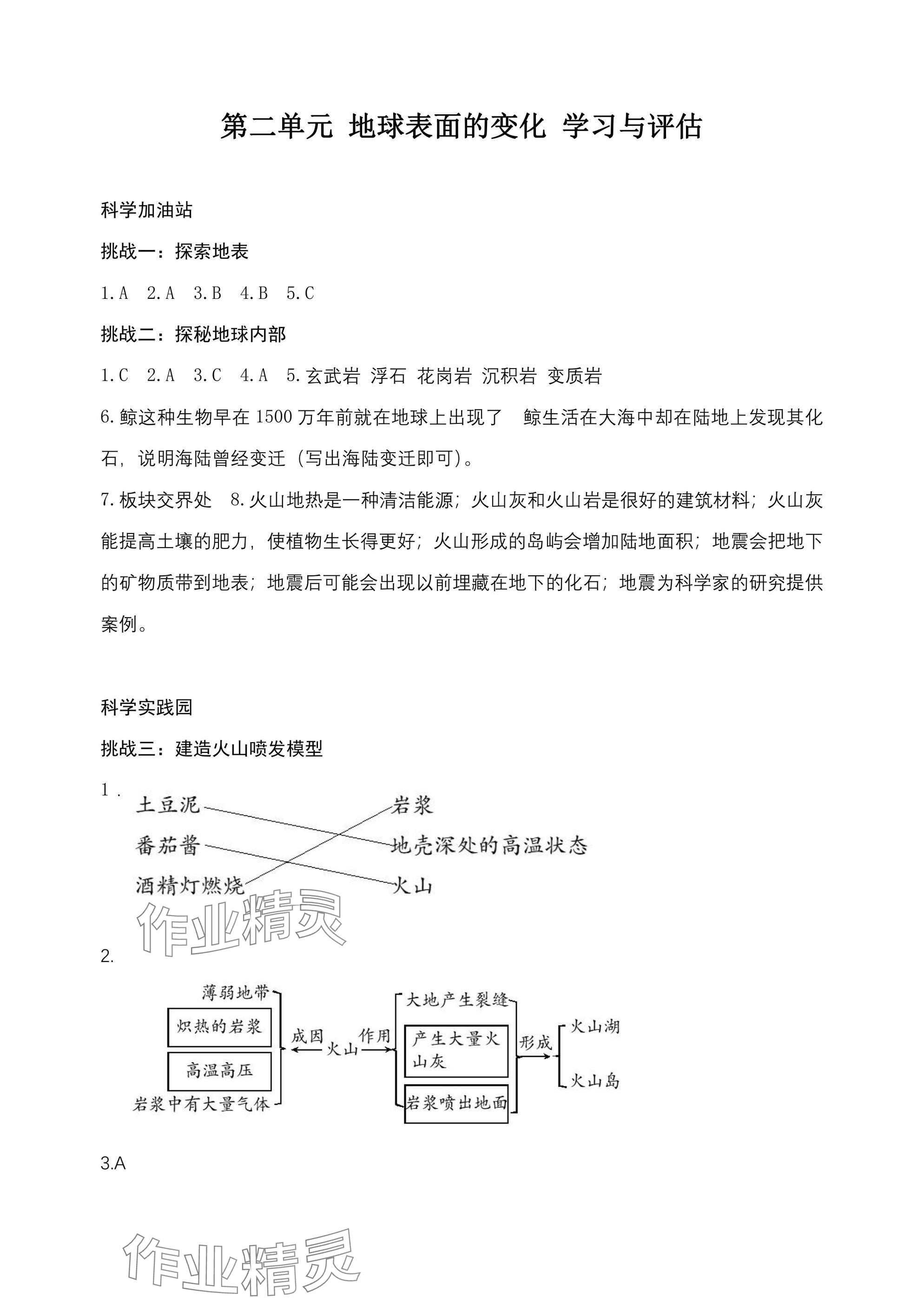 2024年綜合學習與評估五年級科學上冊教科版 參考答案第3頁