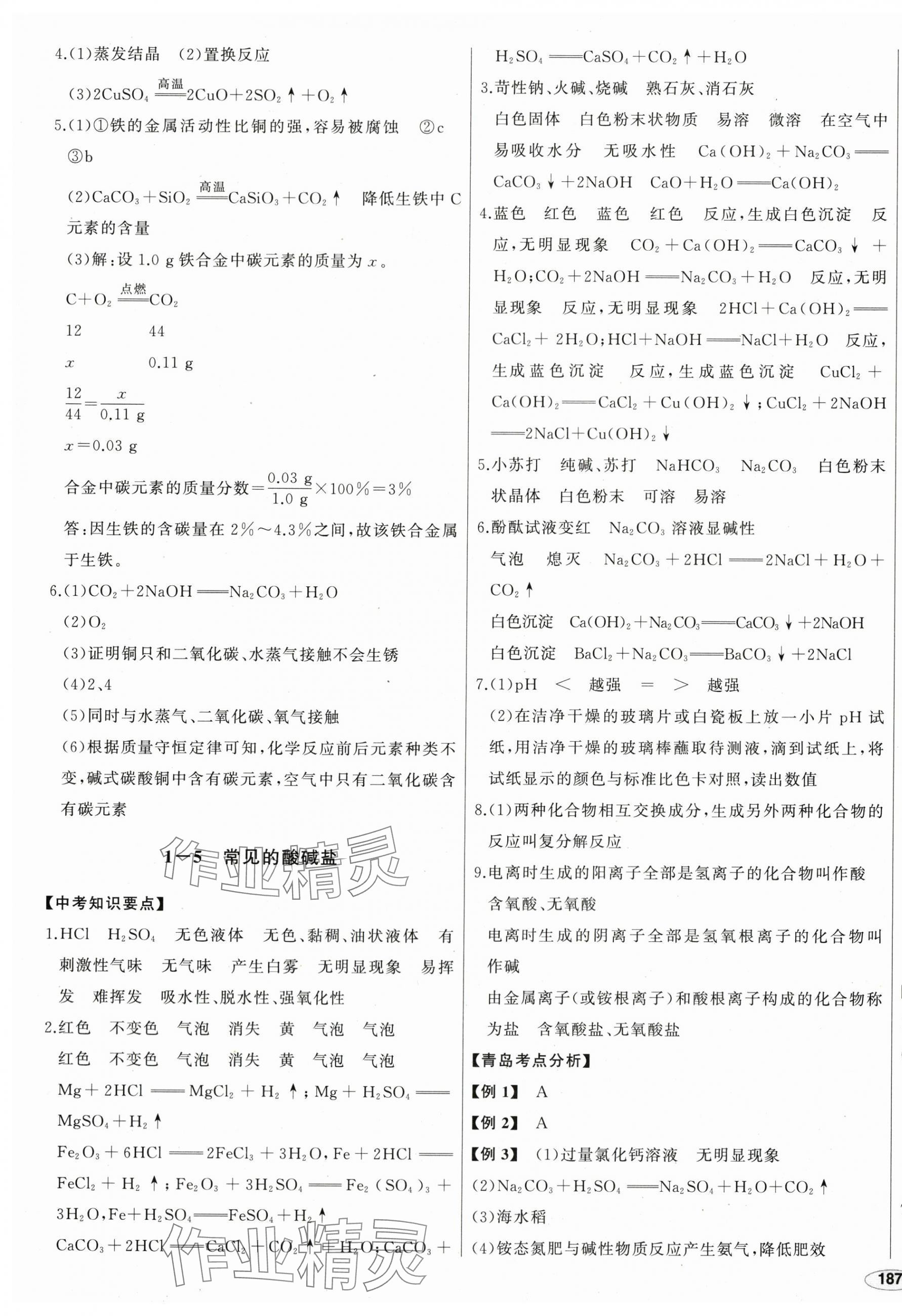 2024年中考档案化学青岛专版 第5页