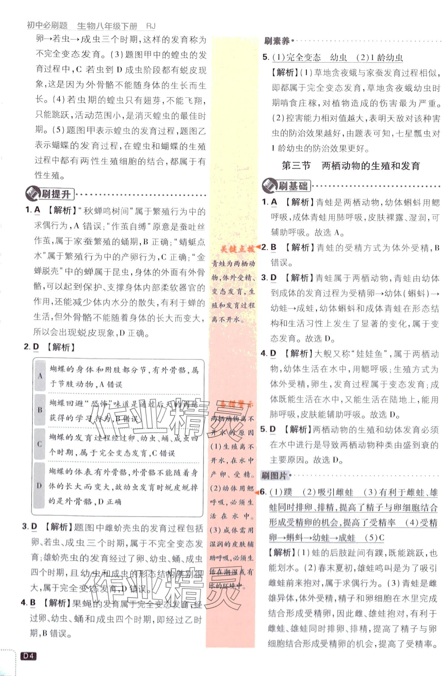 2024年初中必刷題八年級生物下冊人教版 第4頁