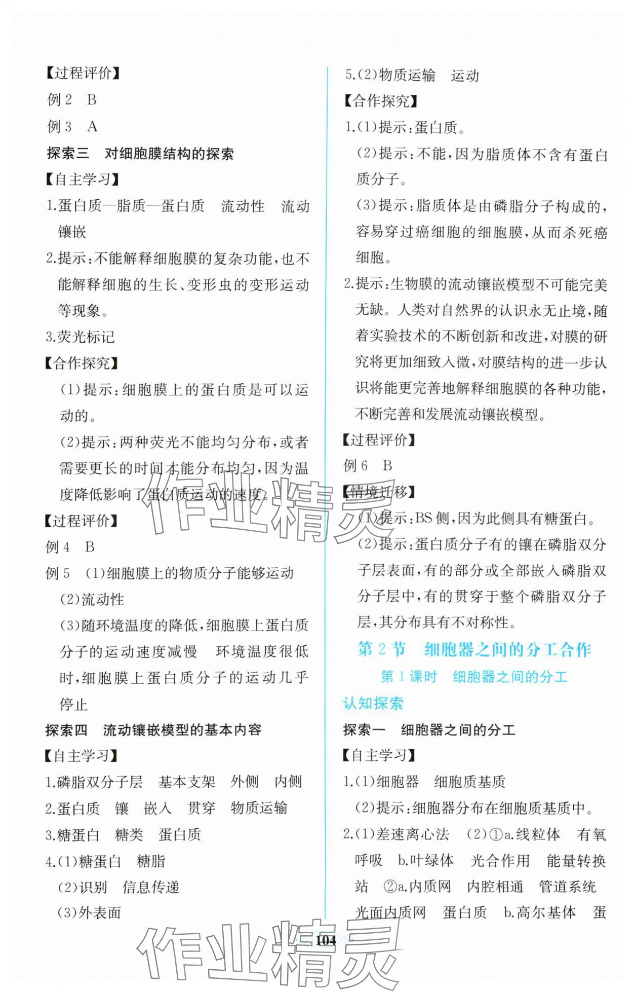 2023年课时练新课程学习评价方案生物必修1分子与细胞增强版 第10页