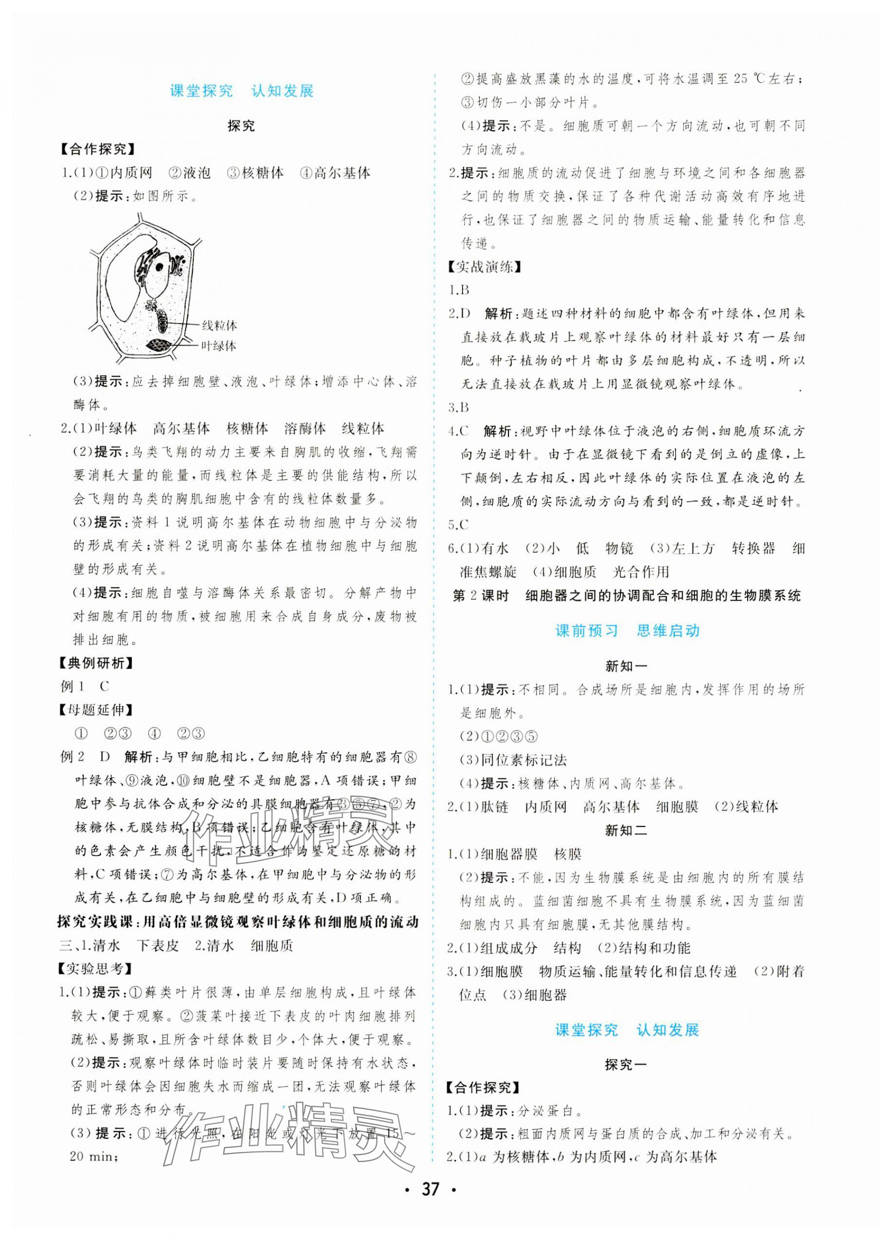 2023年金版学案高中同步辅导与检测高中生物必修1人教版 第9页