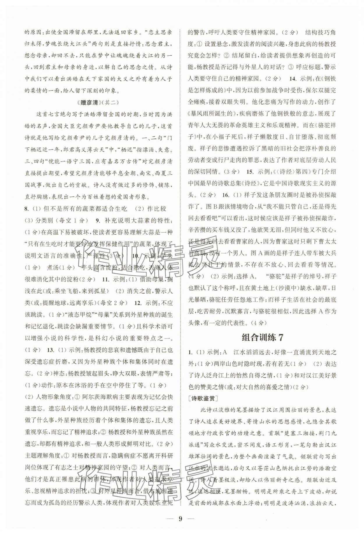 2024年通城学典初中语文阅读组合训练中考版江苏专版 第9页