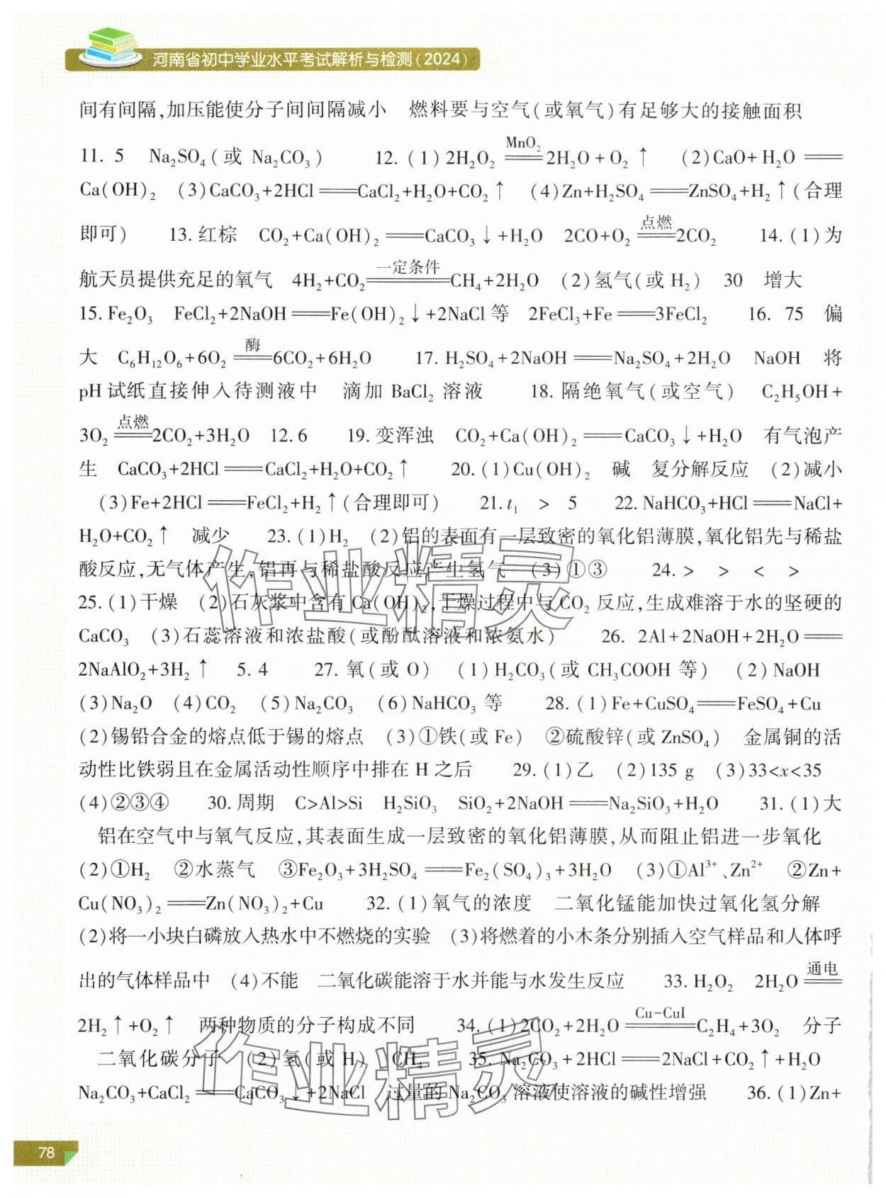 2024年河南省初中学业水平考试解析与检测化学上册 第2页