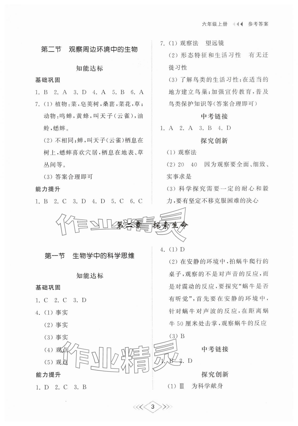 2024年綜合能力訓(xùn)練六年級(jí)生物上冊(cè)魯科版54制 參考答案第2頁(yè)