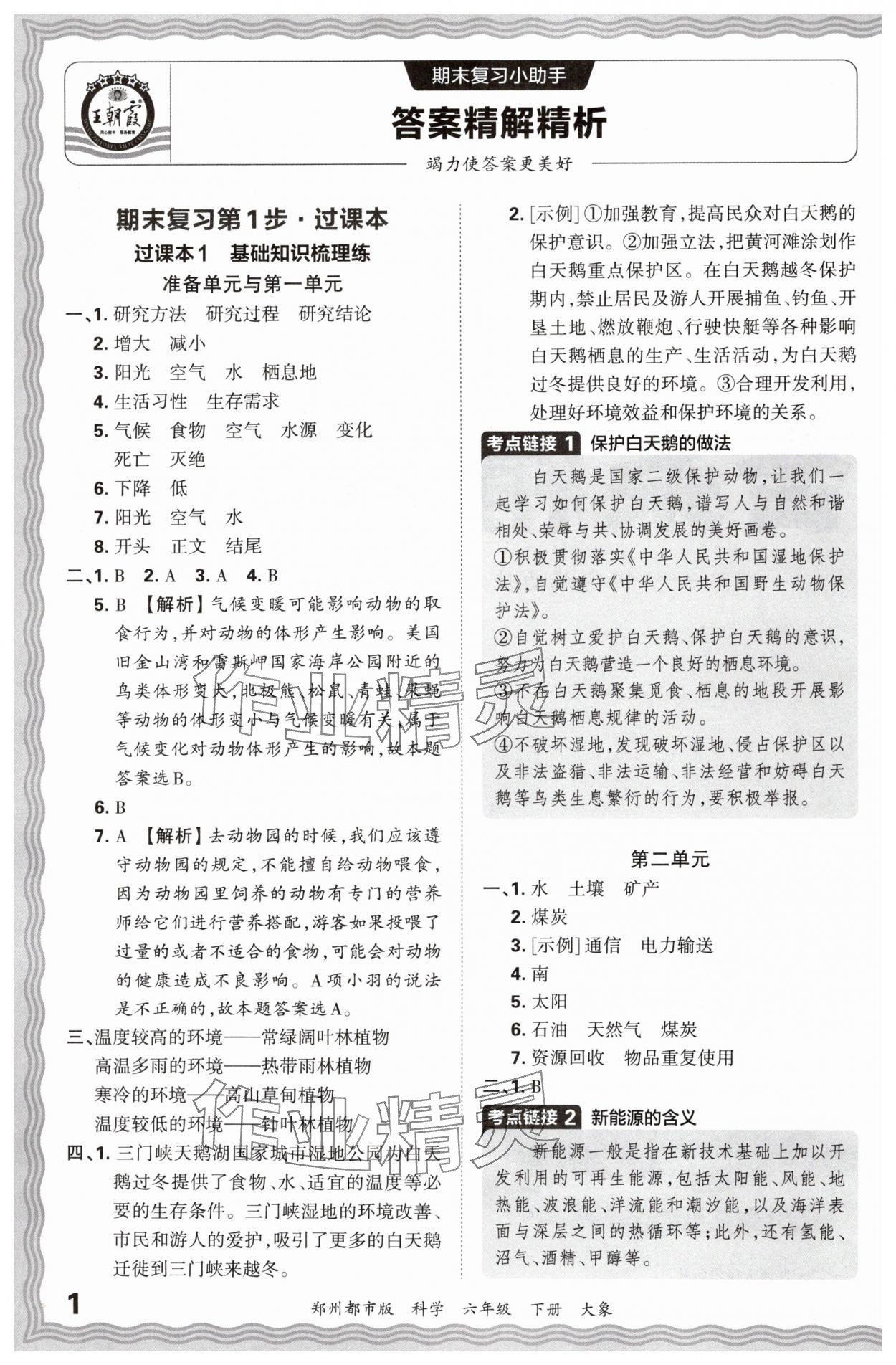 2024年王朝霞期末真題精編六年級科學(xué)下冊大象版鄭州專版 參考答案第1頁