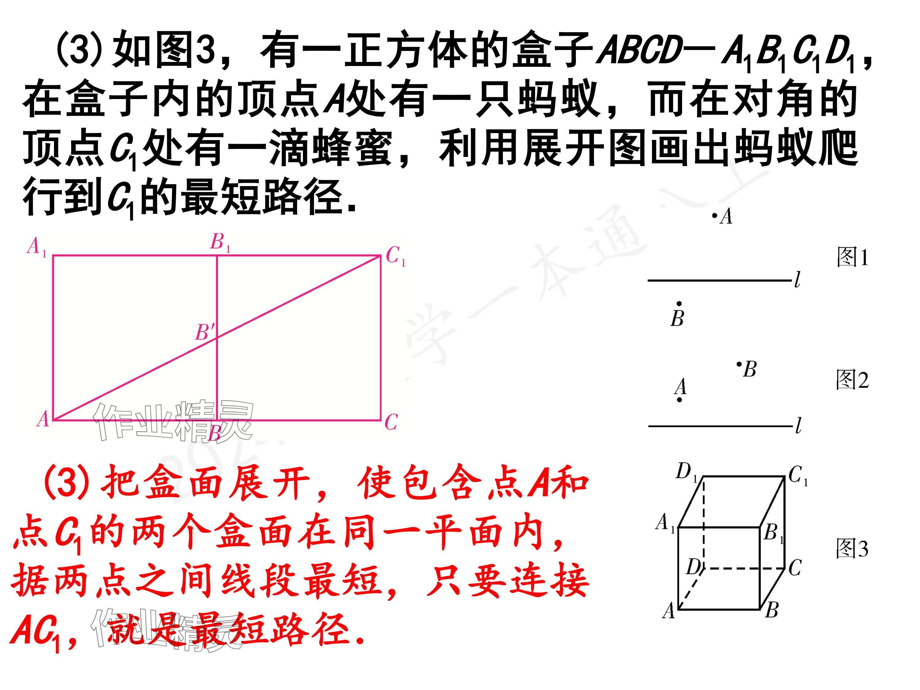 2024年一本通武汉出版社八年级数学上册北师大版精简版 参考答案第23页