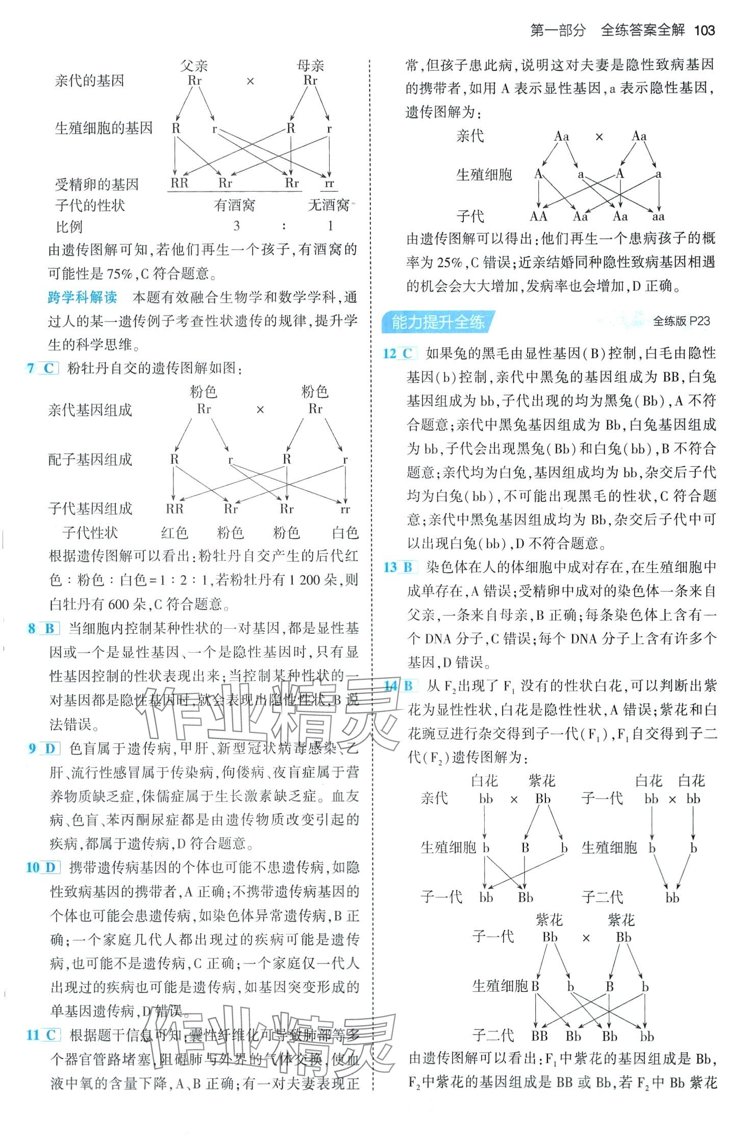 2024年5年中考3年模擬八年級(jí)生物下冊(cè)魯科版山東專版 第9頁(yè)