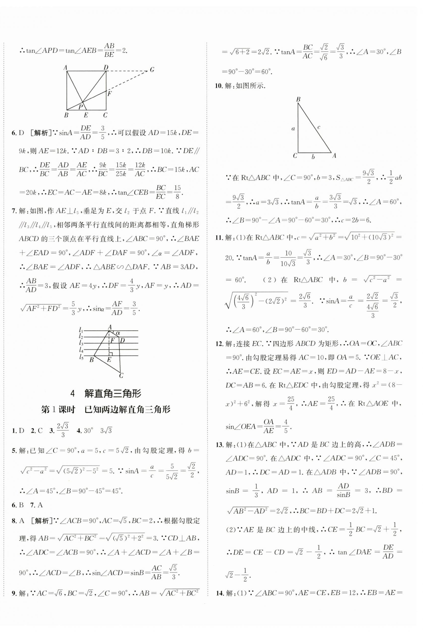 2024年同行学案九年级数学上册鲁教版五四制 第12页