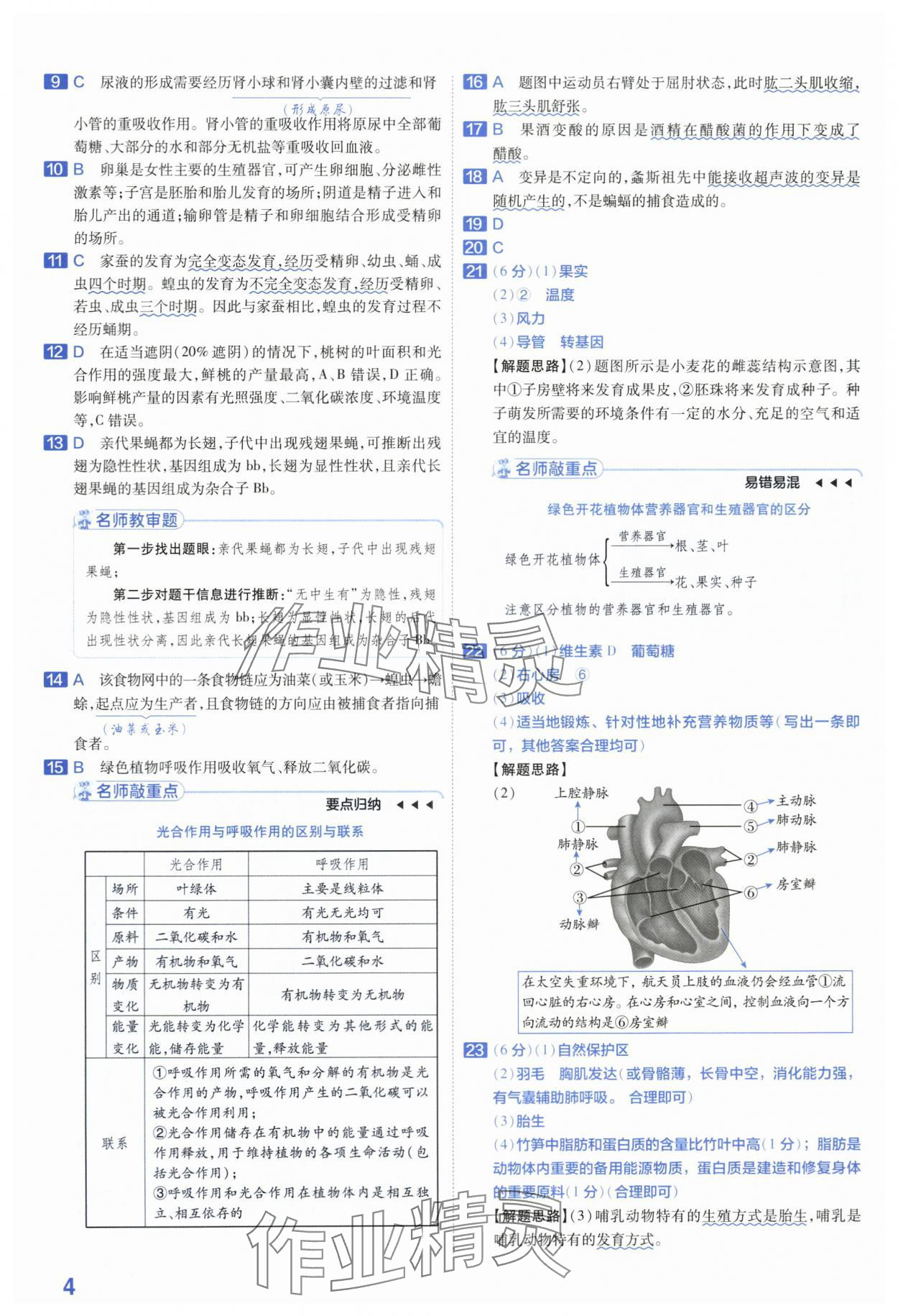 2024年金考卷45套匯編生物河南專(zhuān)版 第4頁(yè)