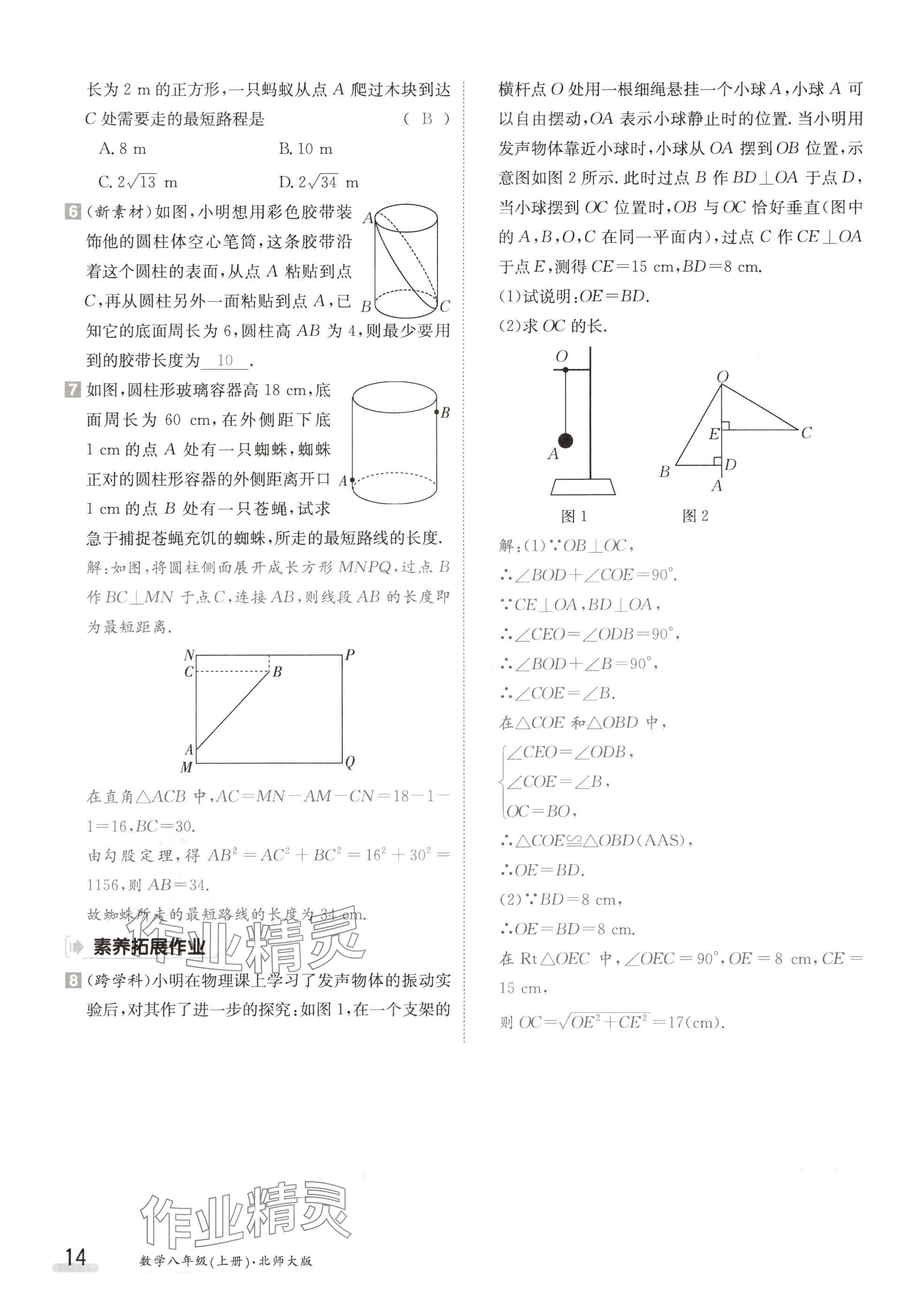 2024年金太阳导学案八年级数学上册北师大版 参考答案第14页