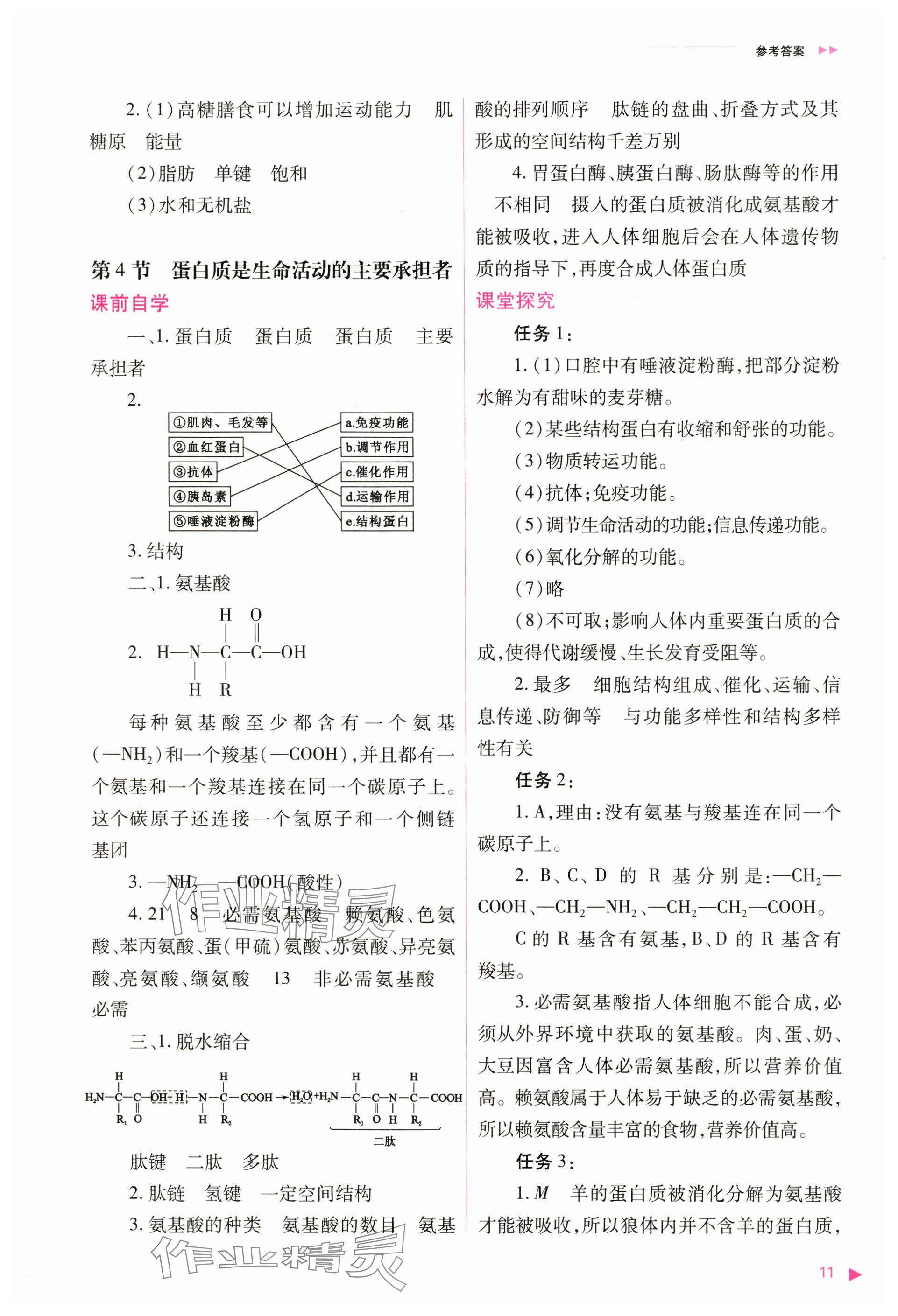 2024年普通高中新課程同步練習冊高中生物必修1人教版 參考答案第11頁