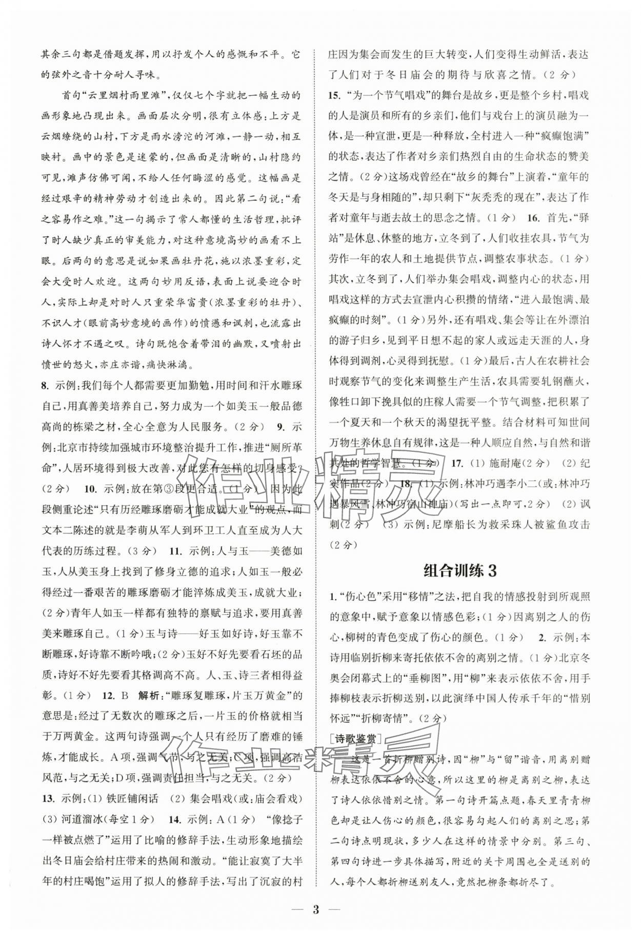 2024年通城学典初中语文阅读组合训练中考版江苏专版 第3页