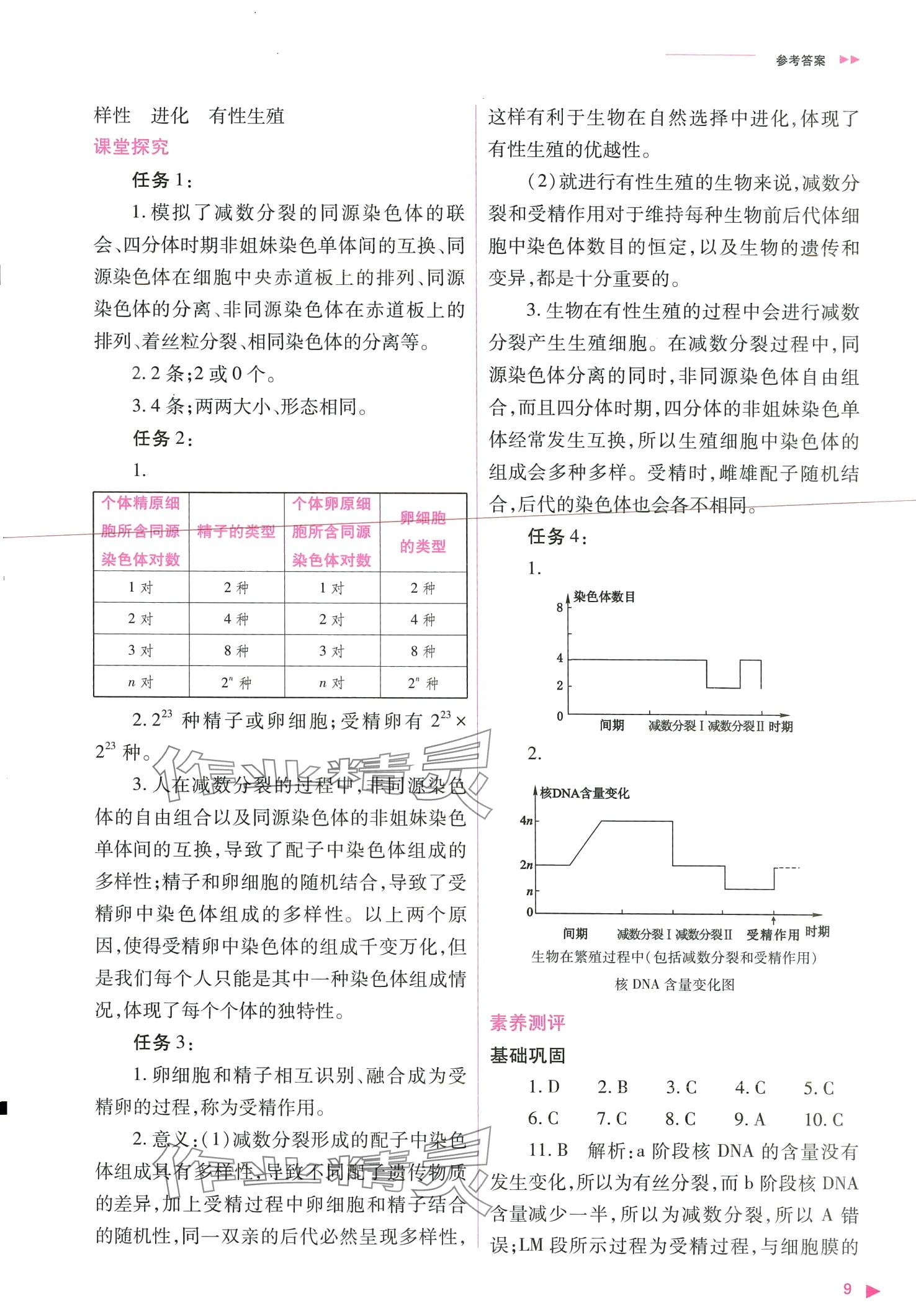 2024年普通高中新課程同步練習(xí)冊高中生物必修2人教版 第9頁